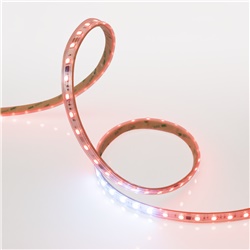 STRIP 5M DIG 19,2W/M IP65 RGBCW 60L