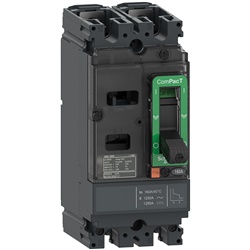 Interruttore, ComPacT NSX160F AC/DC, 18kA/415VAC, 2 poli, Sganciatore TMD 125A