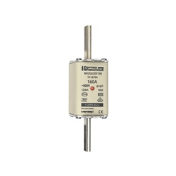 FUS. NH BT TAGLIA 2 - 500VAC GG 160