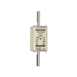 FUS. NH BT TAGLIA 2 - 500VAC GG 160