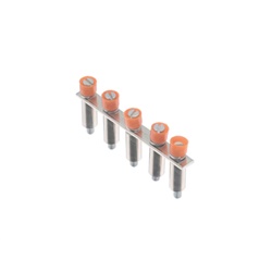 PONTICELLO collegamento morsetto vite TBS25 passo 12 mm per cablaggio elettrico professionale