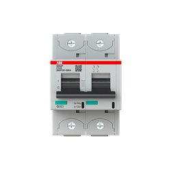 Interruttore magnetotermico S802P-C125 125A 2P 50kA protezione impianti residenziali industriali