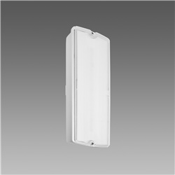 SAFETY-S.E.1H 621 LED 2 3/4 CLD-E B