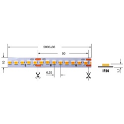 Striscia LED 19,2W/m 24V IP20 luce bianco caldo flessibile per interni