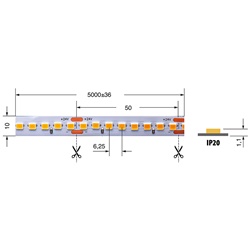 Striscia LED 19,2W/m 24V IP20 luce bianco caldo flessibile per interni
