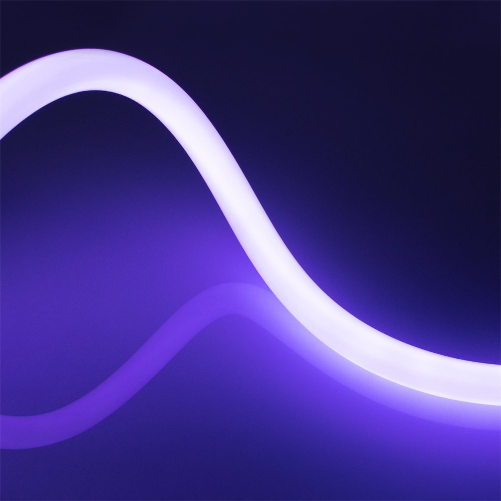 STRIP 1M NEON FLEX 360 12W/M IP65 R