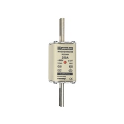 FUS. NH BT TAGLIA 2 - 500VAC GG 250