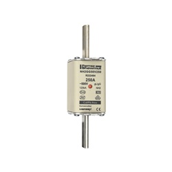 FUS. NH BT TAGLIA 2 - 500VAC GG 250