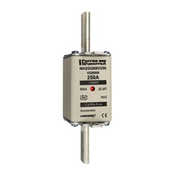 FUS. NH BT TAGLIA 2 - 690VAC GG 250