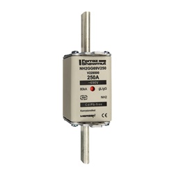 FUS. NH BT TAGLIA 2 - 690VAC GG 250