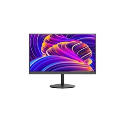 Monitor 21,5 Full HD con ingressi HDMI VGA BNC USB per sorveglianza professionale