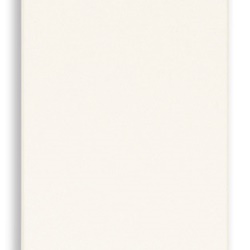 Pulsante scambio NO/NC 10A 250V illuminabile tasto sostituibile bianco uso elettrico