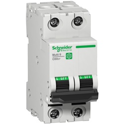 Interruttore magnetotermico Miniatura 2P 50A curva C 5kA protezione cortocircuito e sovraccarico per quadri elettrici