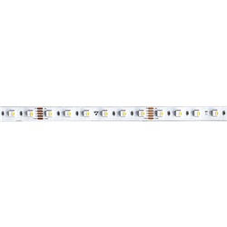 STRIP LED RGBW  3K 19,2W/M 24V IP20