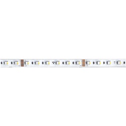 Strip LED 19,2W/mt 24V RGB+3000K CRI85 IP20 flessibile per illuminazione interna decorativa