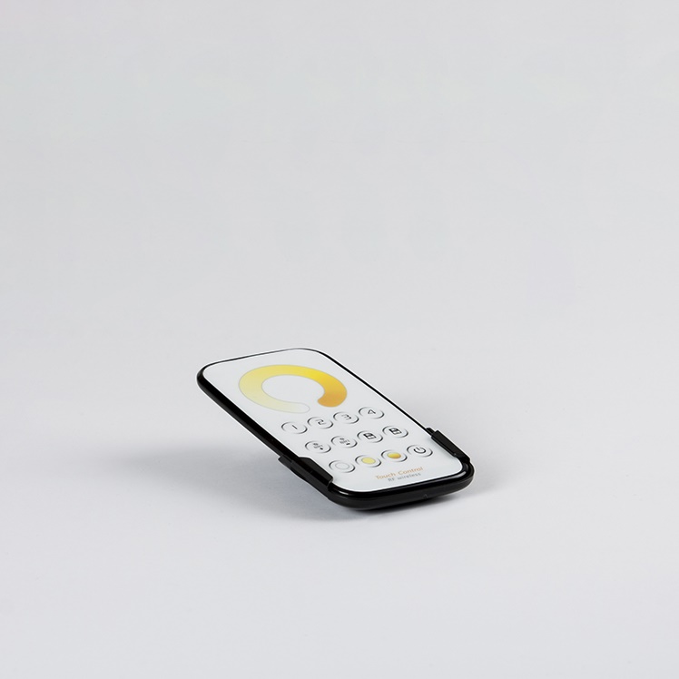 CONTROLLER REMOTO MULTIZONA STRIP B