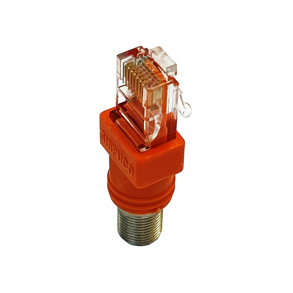 Adattatore RJ45 a Coax F Softing accessorio