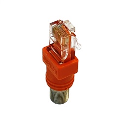 Adattatore RJ45 a Coax F Softing accessorio