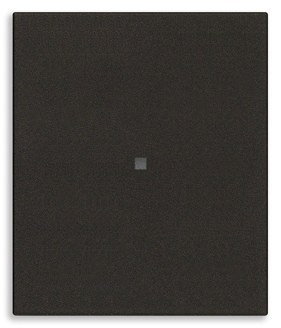PULSANTE 1P NO 10A 2M ASSIALE NERO