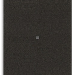 PULSANTE 1P NO 10A 2M ASSIALE NERO