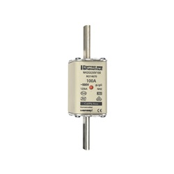 FUS. NH BT TAGLIA 2 - 500VAC GG 100