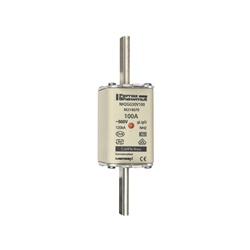 FUS. NH BT TAGLIA 2 - 500VAC GG 100