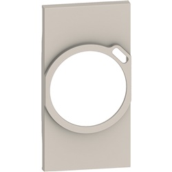 Cover combo presa tedesca USB 2 moduli sabbia per installazioni elettriche