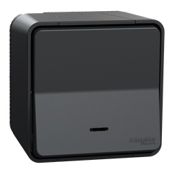Pulsante luminoso Mureva Styl 1P 10A IP55 per installazione interna ed esterna senza viti