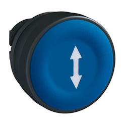 TESTA PULSANTE BLU