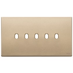 PLACCA 5MX5 BS VINTAGE ORO SATINATO