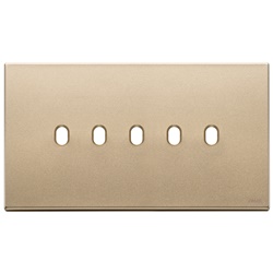 Placca 5 moduli BS metallo oro satinato stile Vintage per comandi elettrici