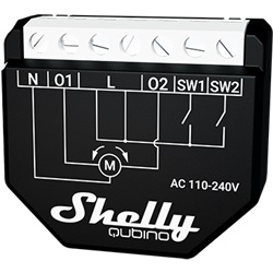 SHELLY QUBINO WAVE SHUTTER