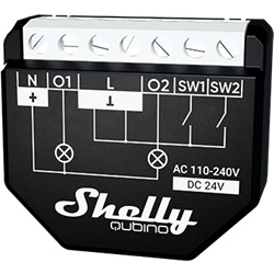 SHELLY QUBINO WAVE 2PM