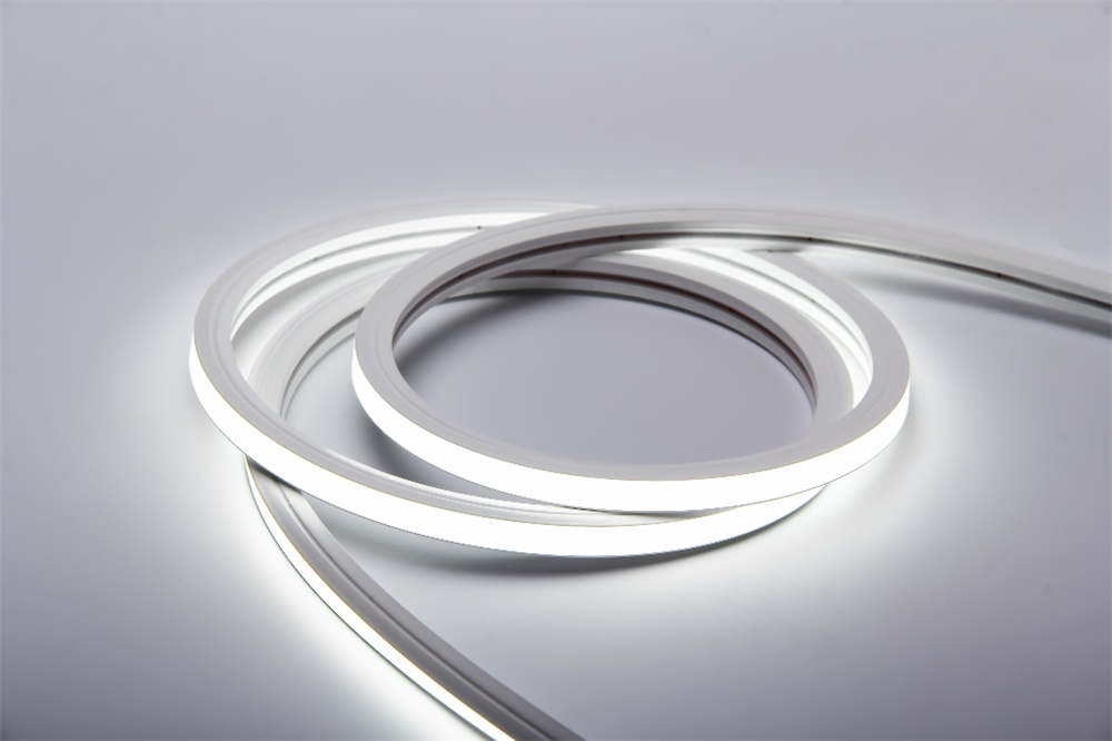 STRIP 10M NEON FLEX 7,2W/M IP65 270