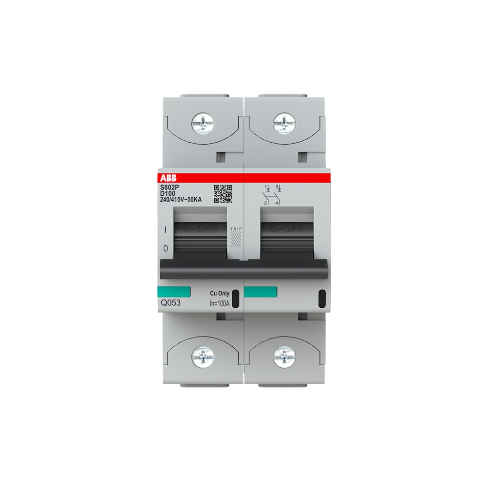 Interruttore magnetotermico 2P 100A 50kA caratteristica D alta prestazione per impianti elettrici residenziali e industriali
