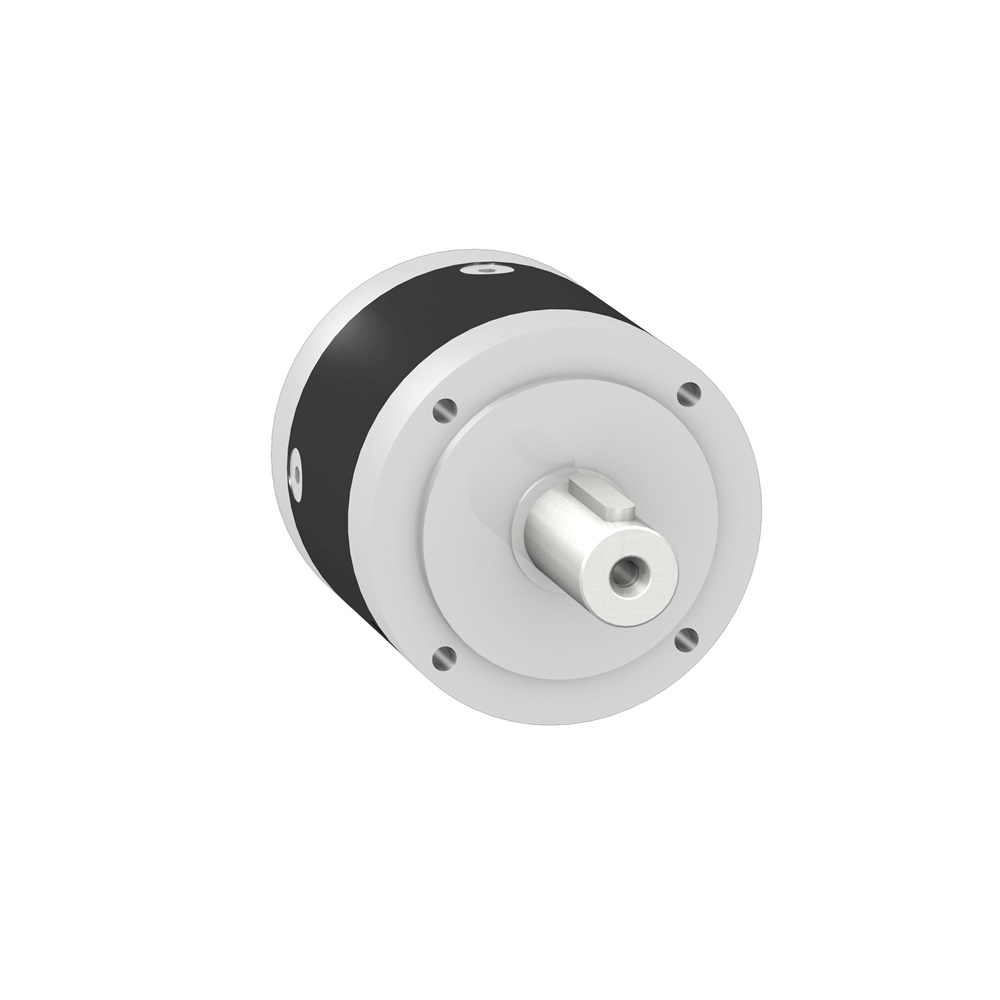 RIDUTTORE GBX FLANGIA 60MM 25 1