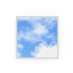 PL PRINT SKY1 600 V 33W