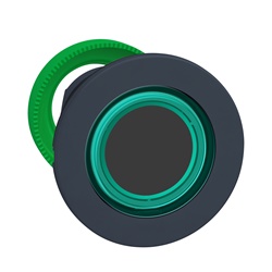TESTA PULSANTE LUM. VERDE FILOPANNE