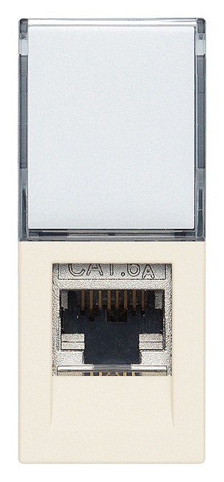 Presa RJ45 Netsafe Cat6A FTP schermata cablaggio universale T568A/B canapa