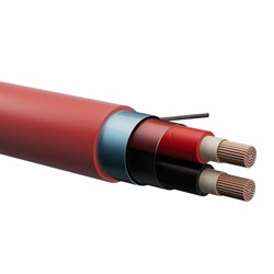 FTE29OHM16 100/100V 2X1,00 PH120 R