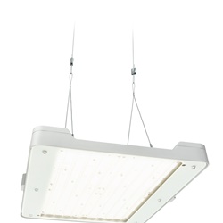 BY481P LED350S/840 PSD WB PC SI