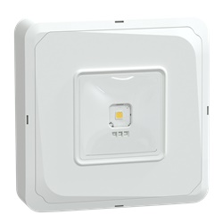 EXIWAY SMARTBEAM S. IP65 ACT/DIC 3H