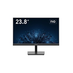 Monitor 23,8 Full HD professionale per sorveglianza e controllo