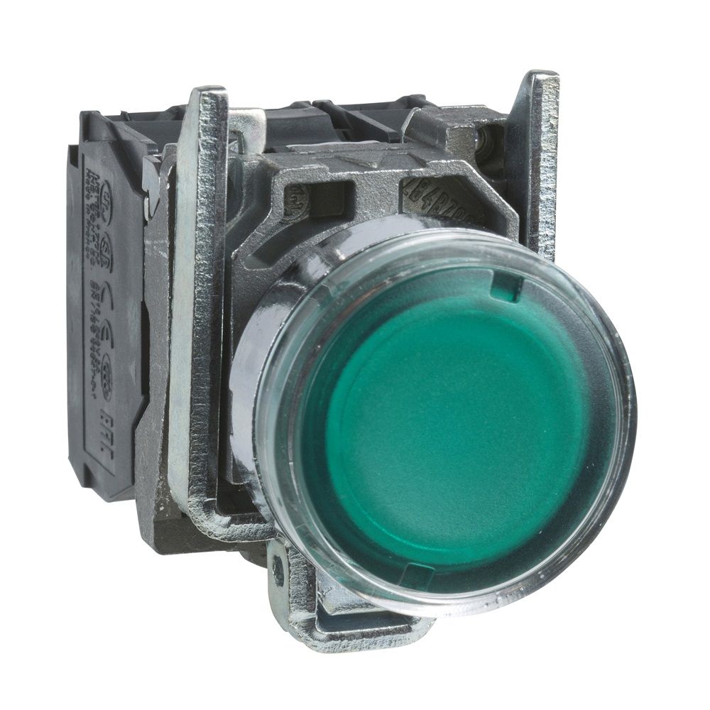 Pulsante luminoso verde Ø22 - filoghiera ad impulso - 250V - 1NO+1NC