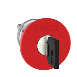 TESTA PULSANTE A FUNGO ROSSO DI SIC