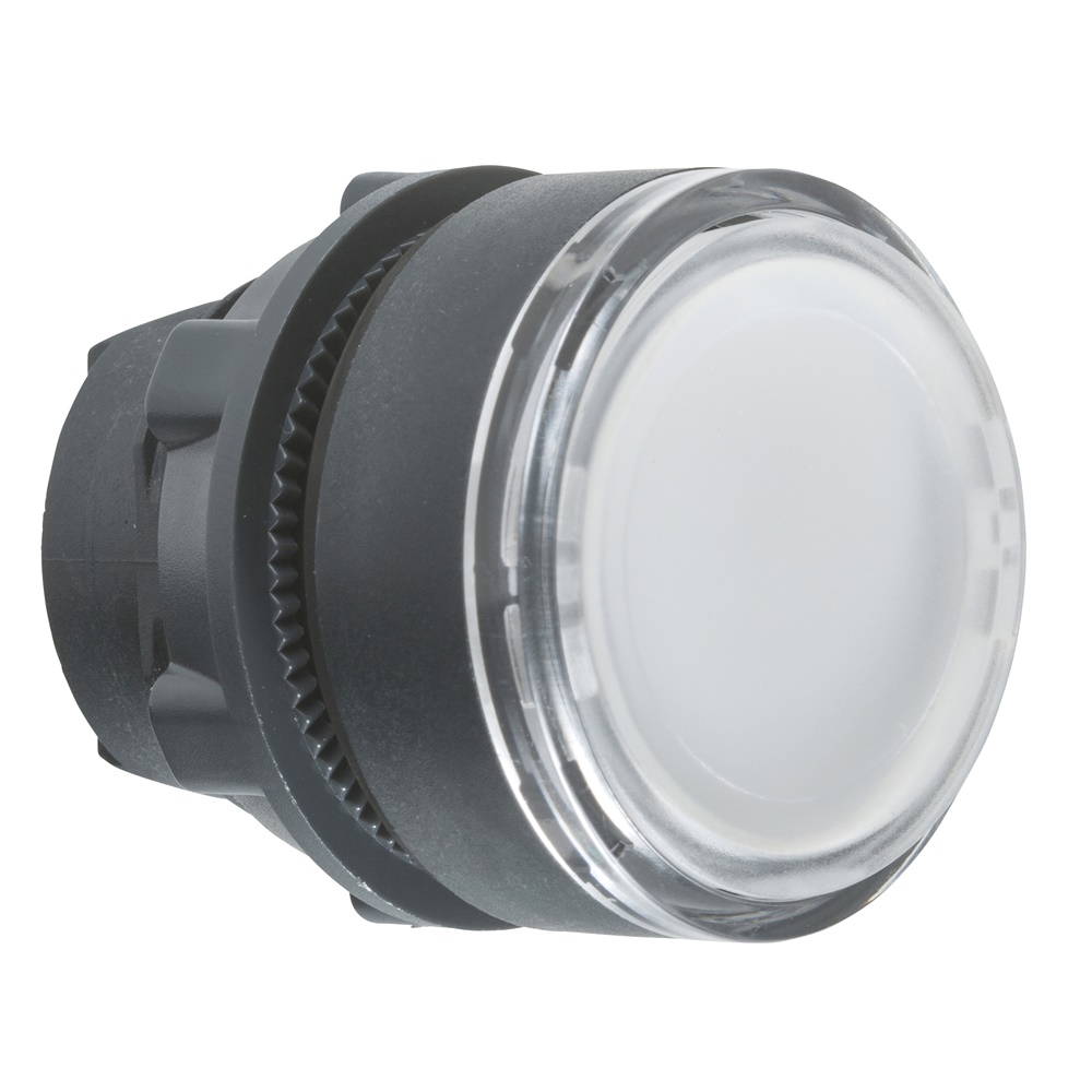 Testa pulsante luminoso Ø22 - bianca - per inserimento etichetta- per LED universale