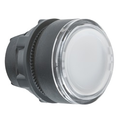 Testa pulsante luminoso Ø22 - bianca - per inserimento etichetta- per LED universale