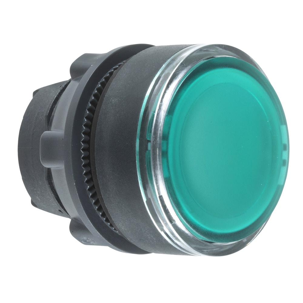 Testa pulsante luminoso Ø22 - verde - per inserimento etichetta- per LED universale
