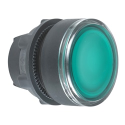 Testa pulsante luminoso Ø22 - verde- per LED universale