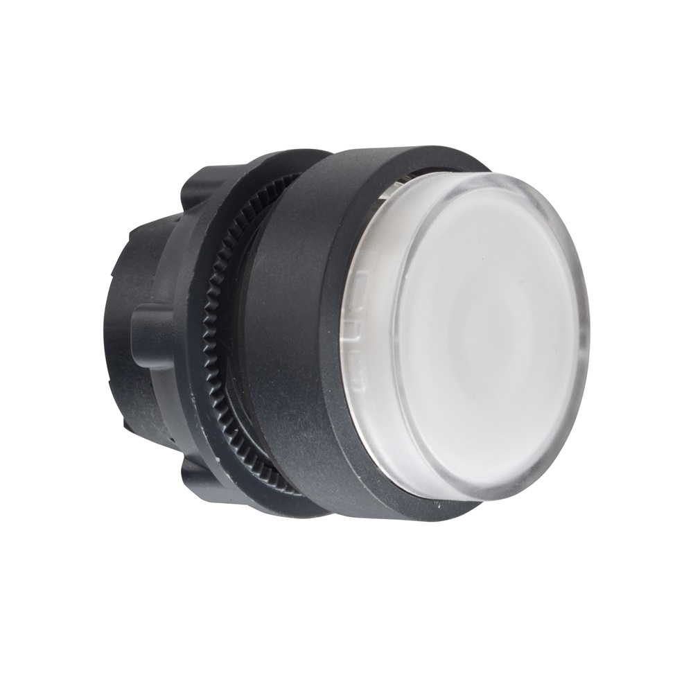 Testa pulsante luminoso Ø22 - bianco- per LED universale